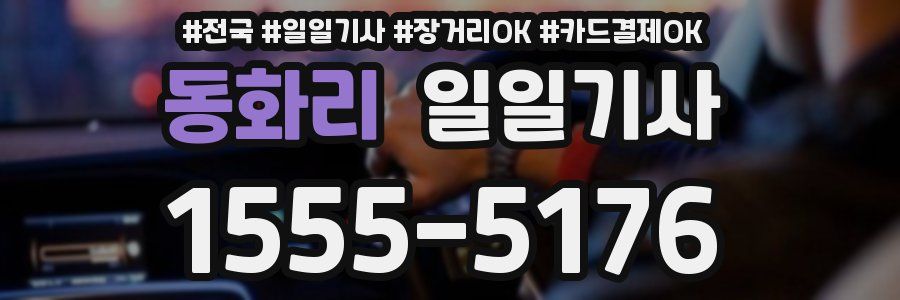 동화리 일일기사