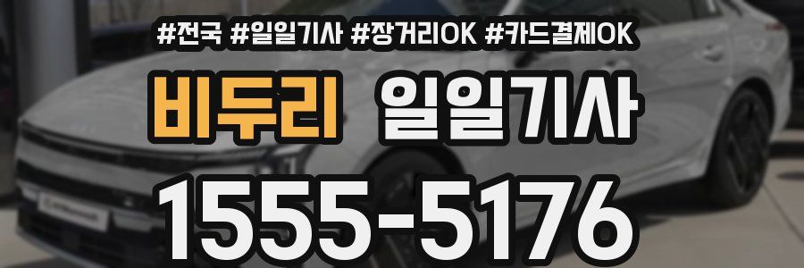 비두리 일일기사