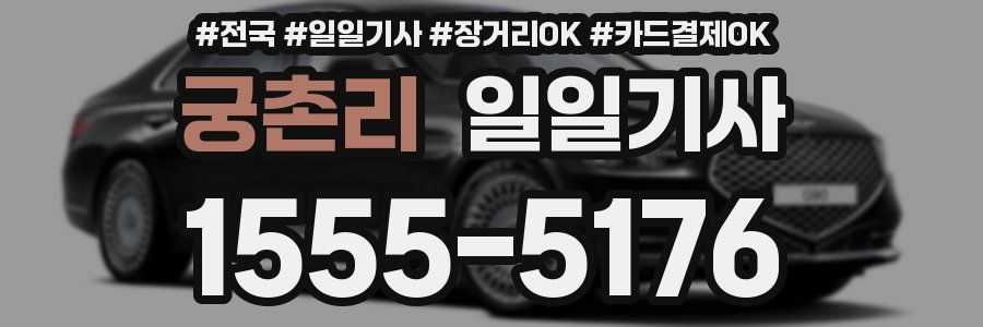 궁촌리 일일기사