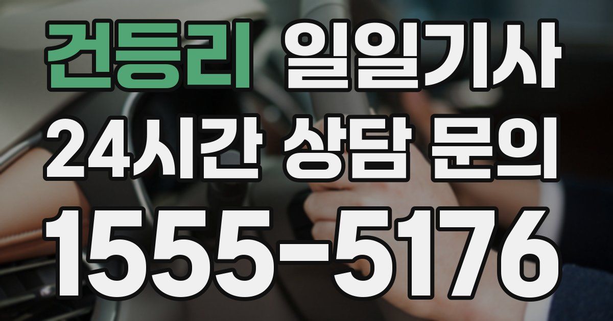 일일대리기사
