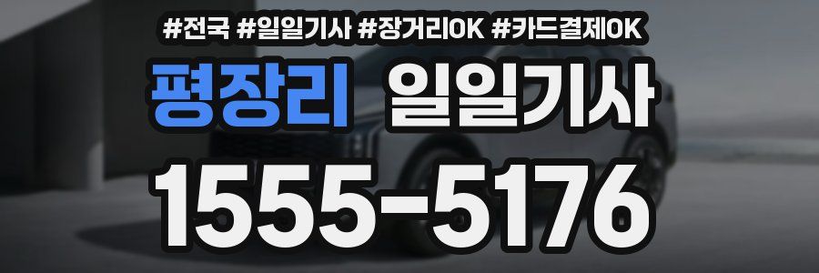 평장리 일일기사