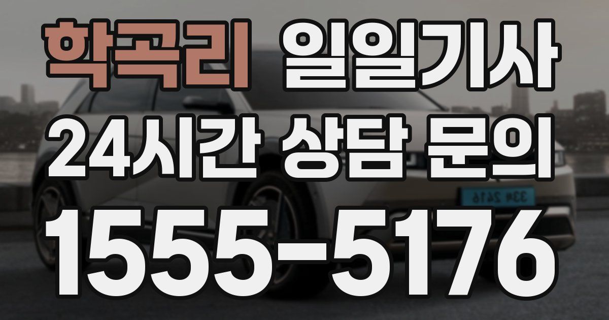일일대리기사