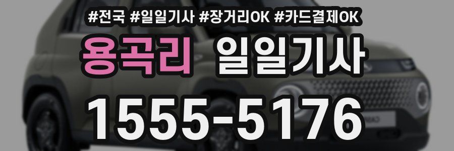 용곡리 일일기사