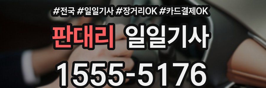 판대리 일일기사