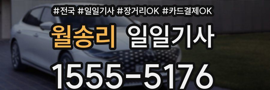 월송리 일일기사