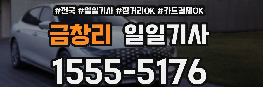 금창리 일일기사