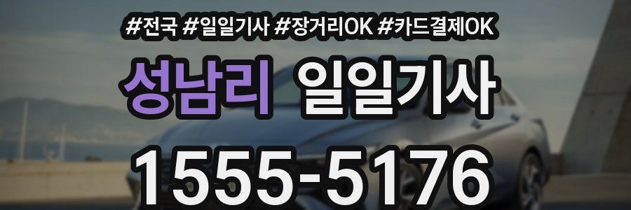 성남리 일일기사