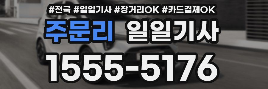 주문리 일일기사