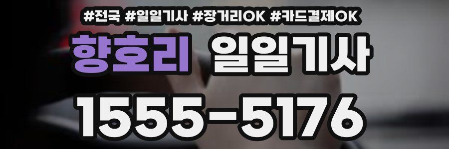 향호리 일일기사