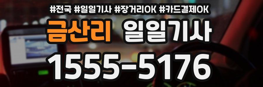 금산리 일일기사