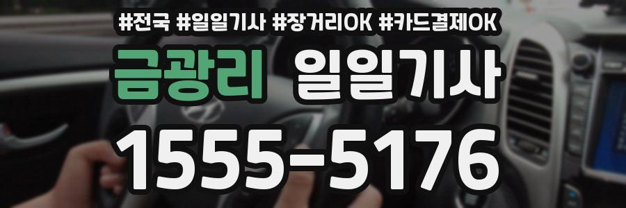 금광리 일일기사