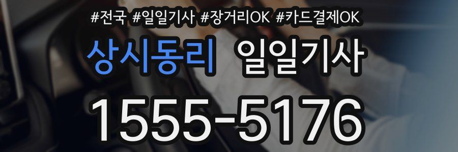 상시동리 일일기사