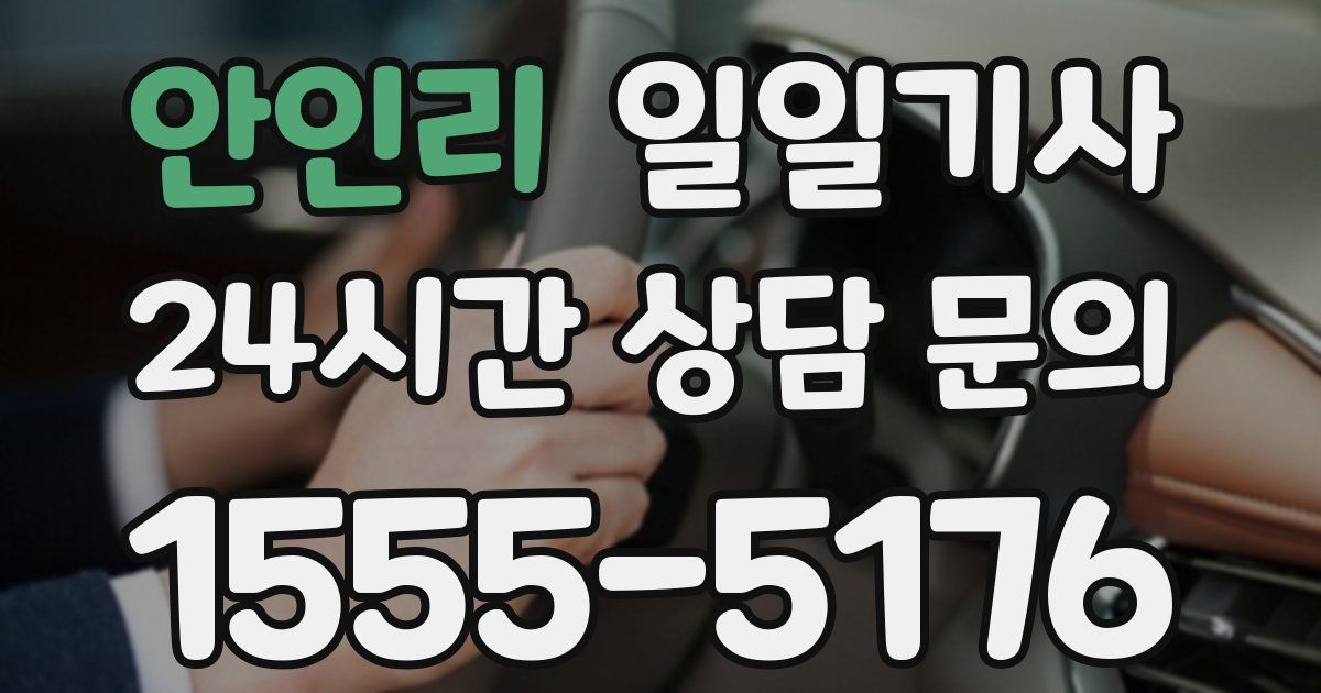 일일대리기사