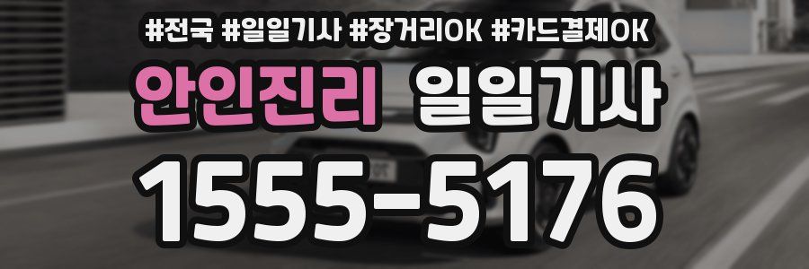 안인진리 일일기사