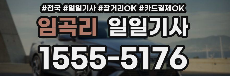 임곡리 일일기사