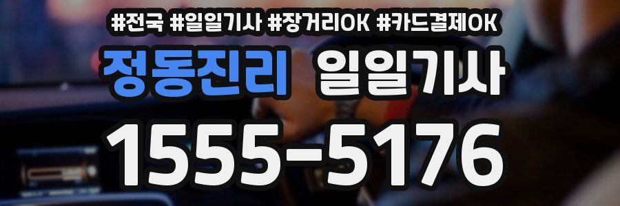 정동진리 일일기사