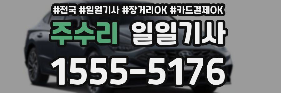 주수리 일일기사