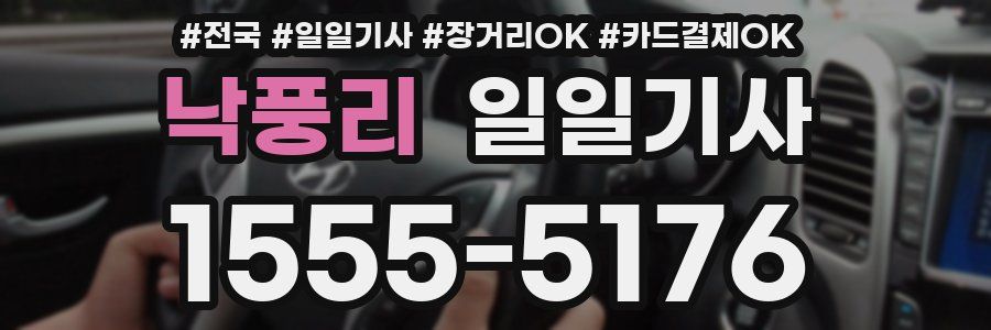 낙풍리 일일기사