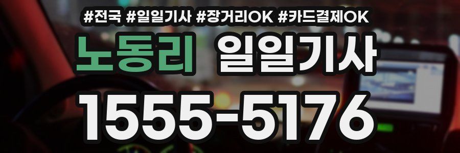 노동리 일일기사