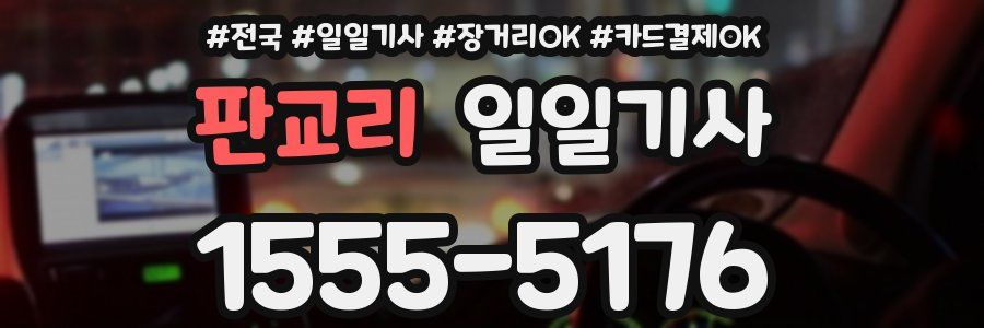 판교리 일일기사