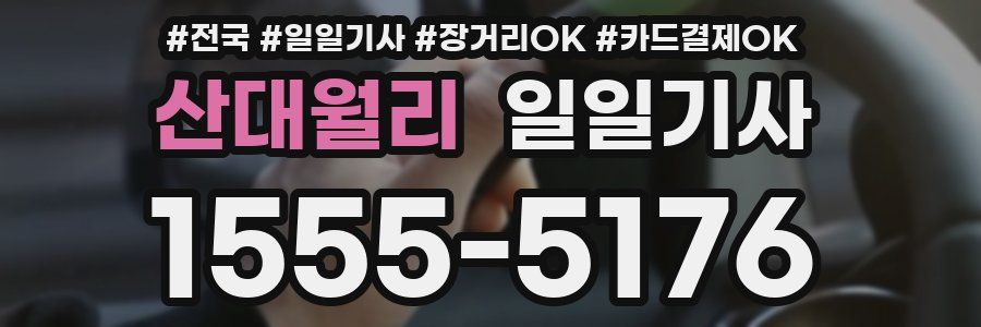 산대월리 일일기사