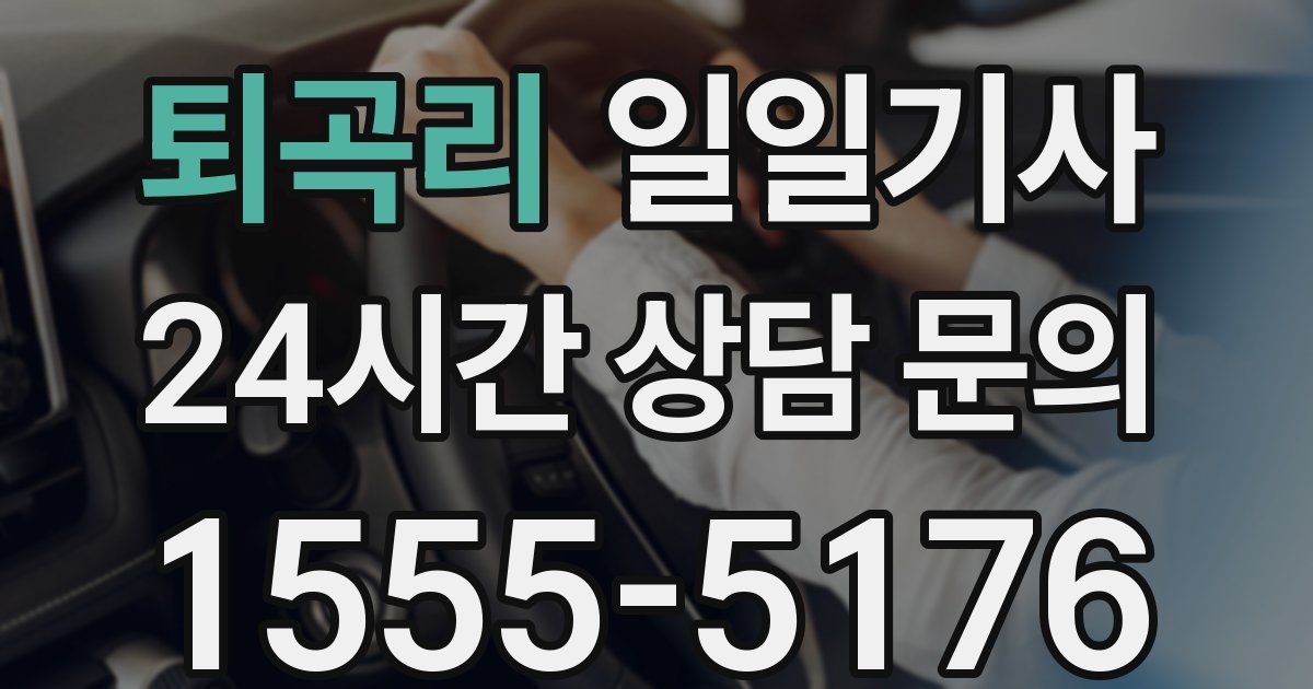일일대리기사
