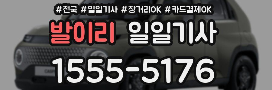 발이리 일일기사