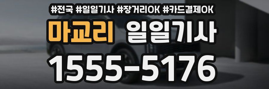 마교리 일일기사