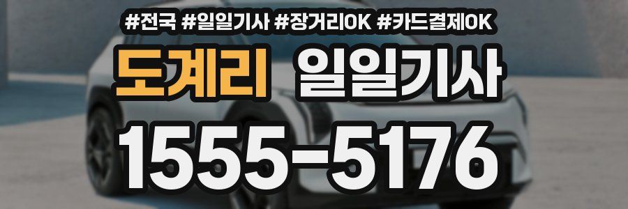 도계리 일일기사