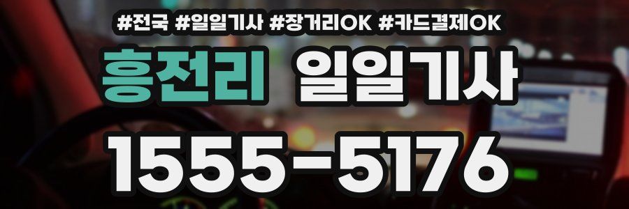 흥전리 일일기사