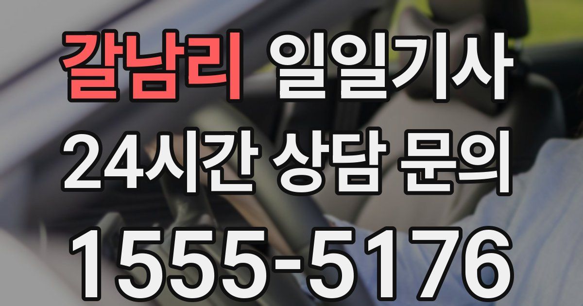 일일대리기사
