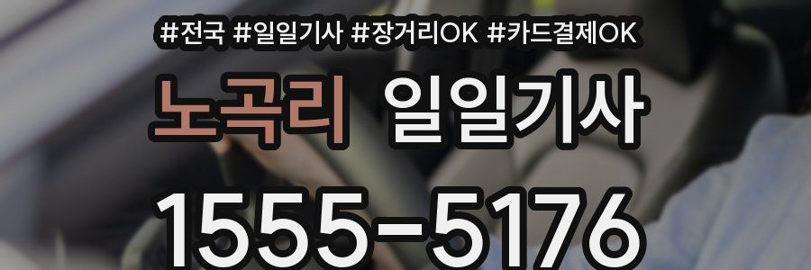 노곡리 일일기사