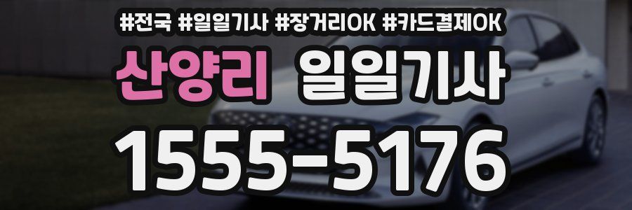 산양리 일일기사