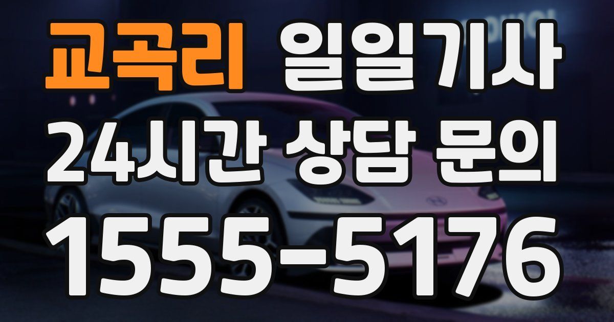 일일대리기사