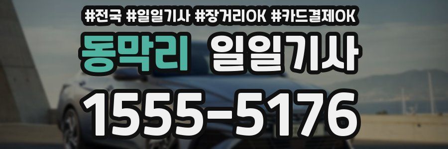 동막리 일일기사