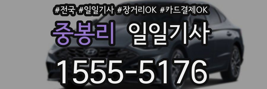 중봉리 일일기사