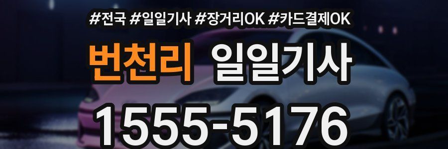 번천리 일일기사