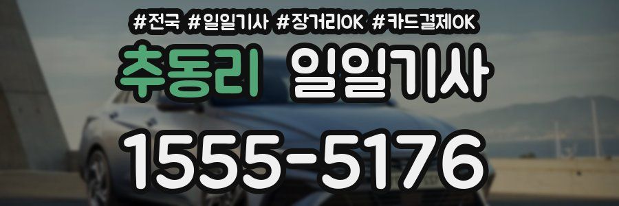 추동리 일일기사