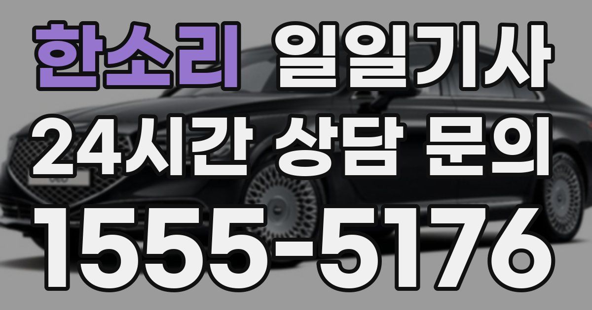 일일대리기사