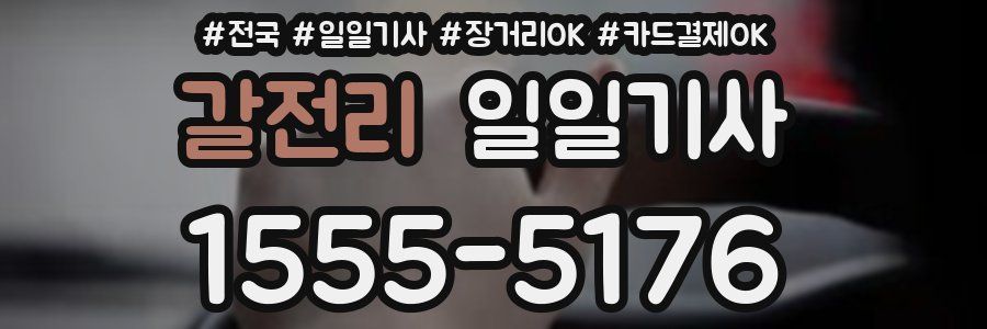 갈전리 일일기사