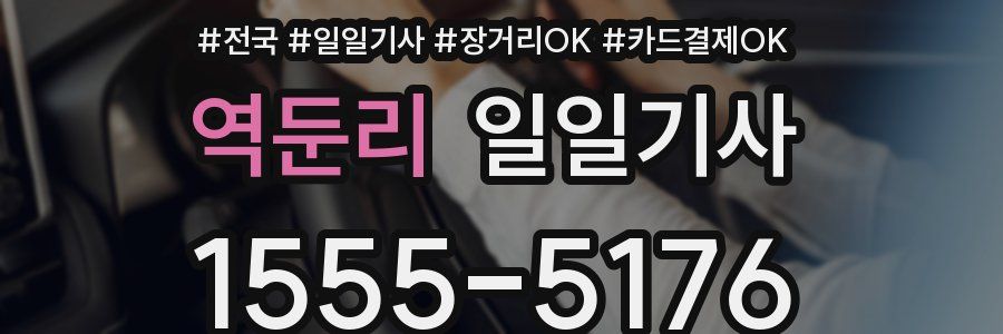 역둔리 일일기사