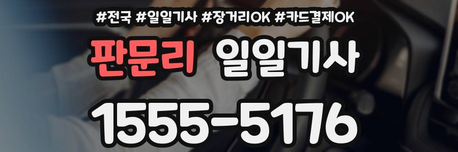 판문리 일일기사