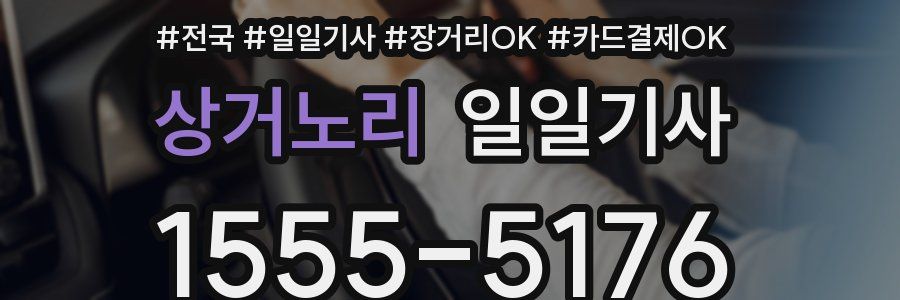 상거노리 일일기사