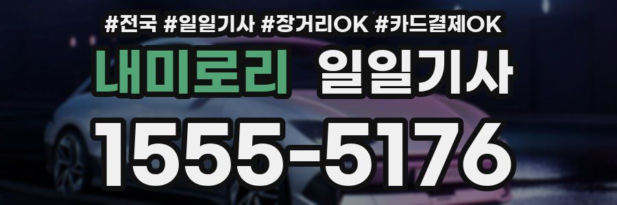 내미로리 일일기사