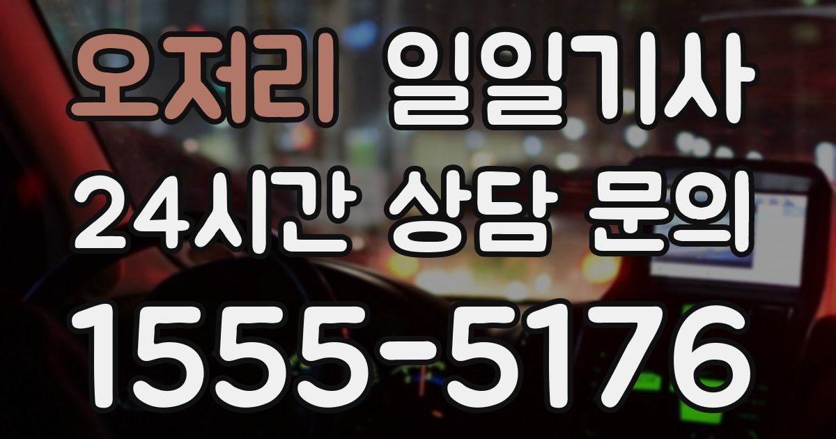 일일대리기사