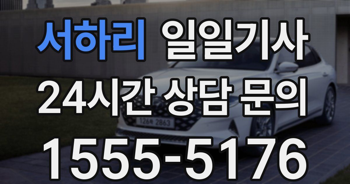일일대리기사