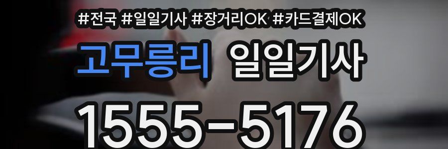 고무릉리 일일기사