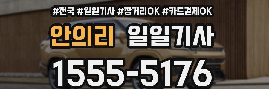 안의리 일일기사