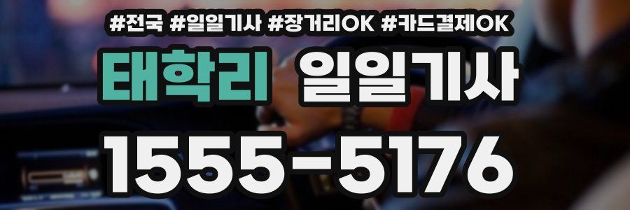 태학리 일일기사