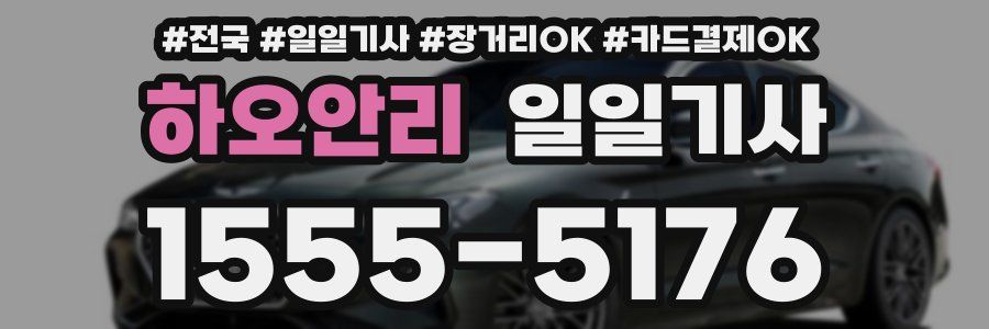 하오안리 일일기사